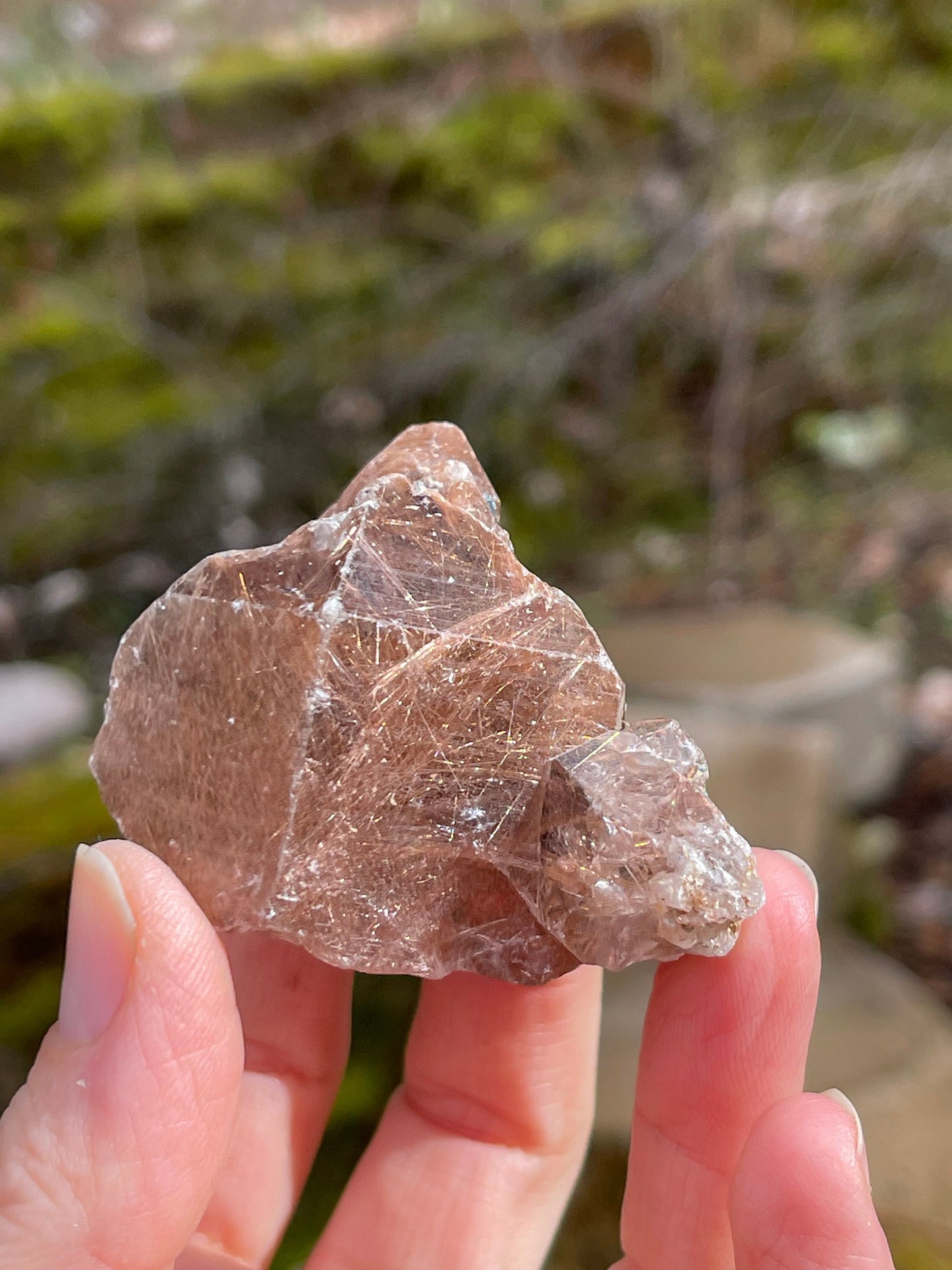 Rutilated Quartz, Copper Champagne Rutile, Q1-0223