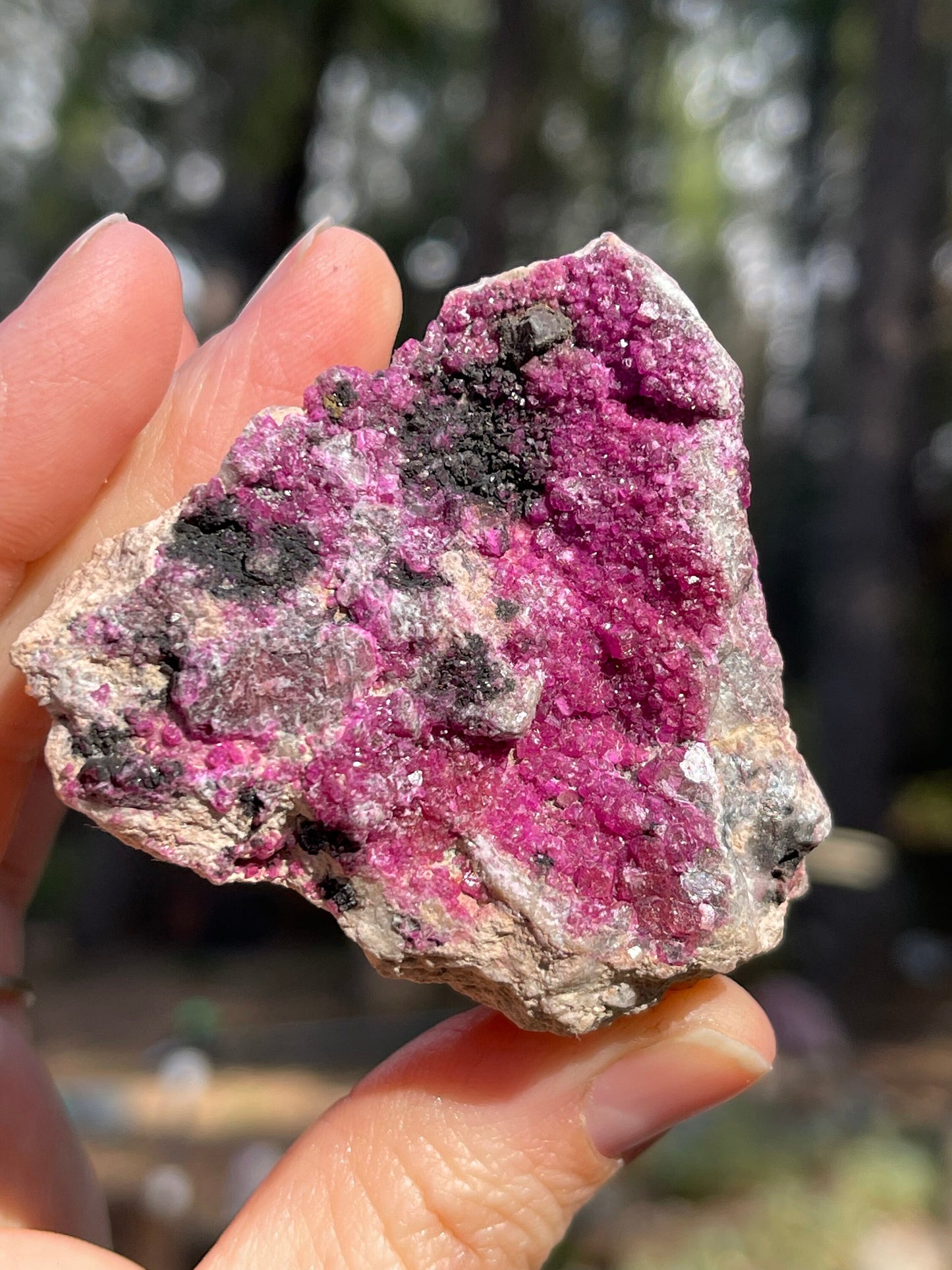 Pink Cobalt Calcite PC1-0220