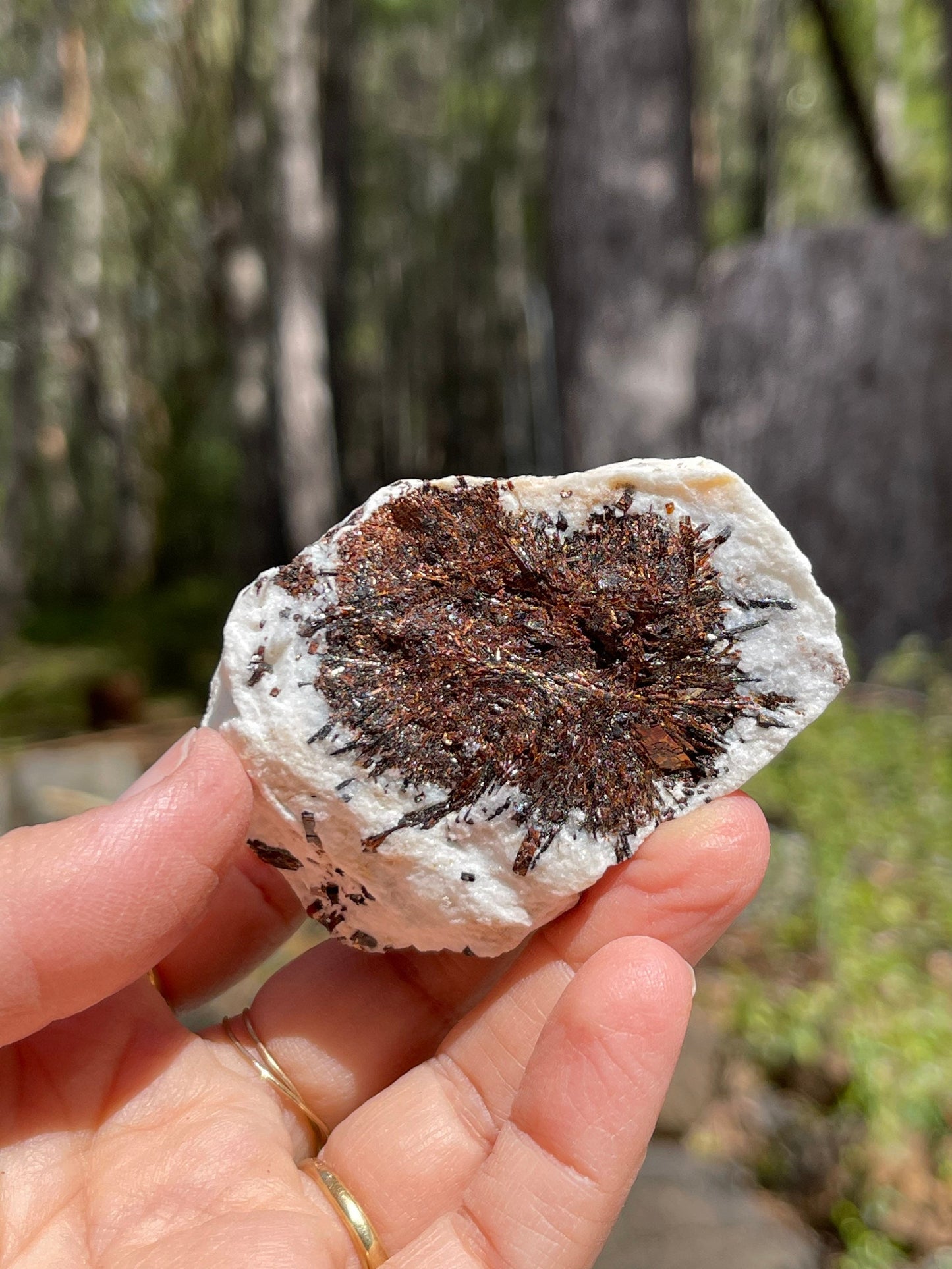 Astrophyllite Starburst, Shimmering Minerals