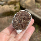 Astrophyllite Starburst, Shimmering Mineral