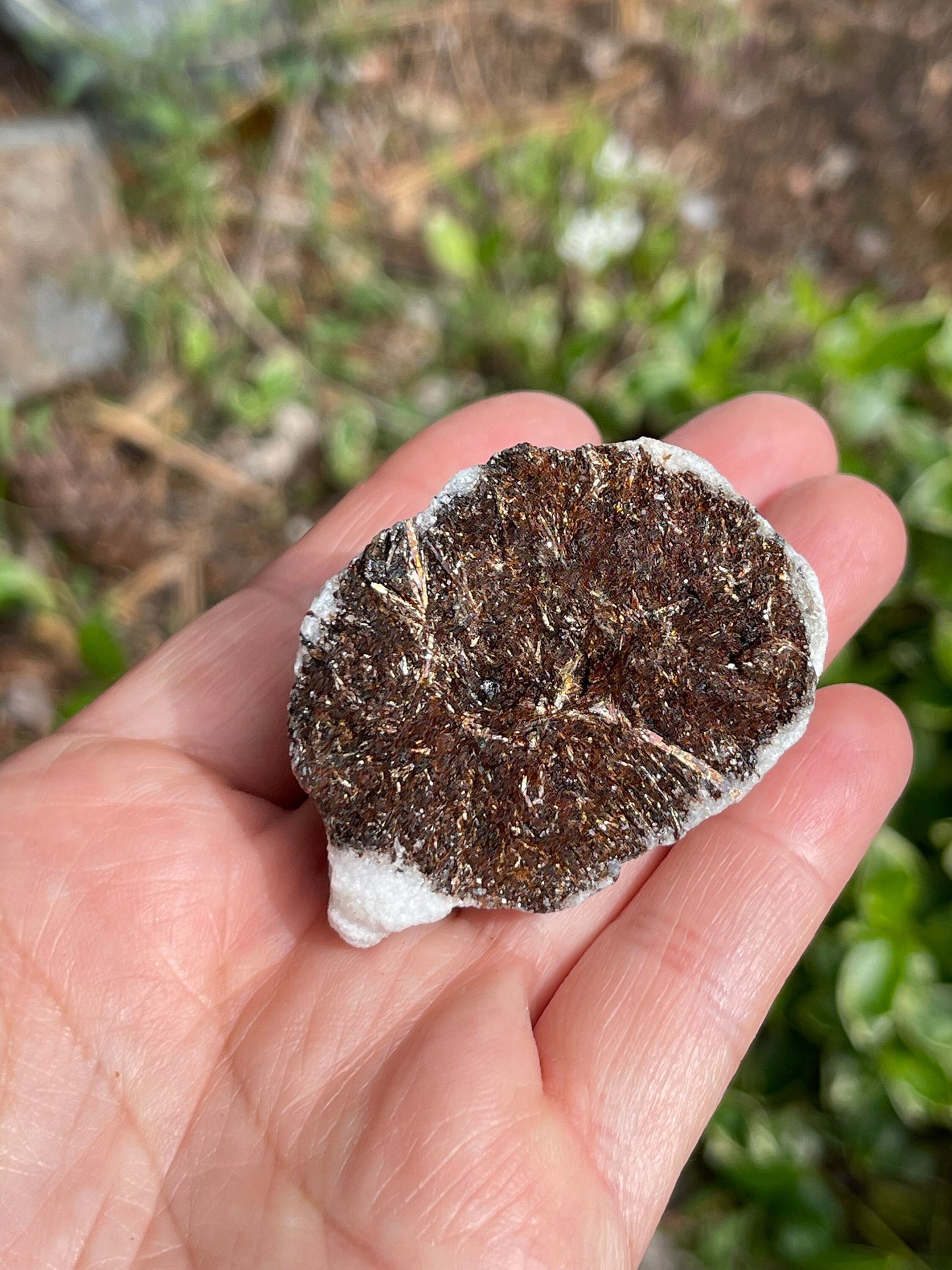 Astrophyllite Starburst, Shimmering Mineral