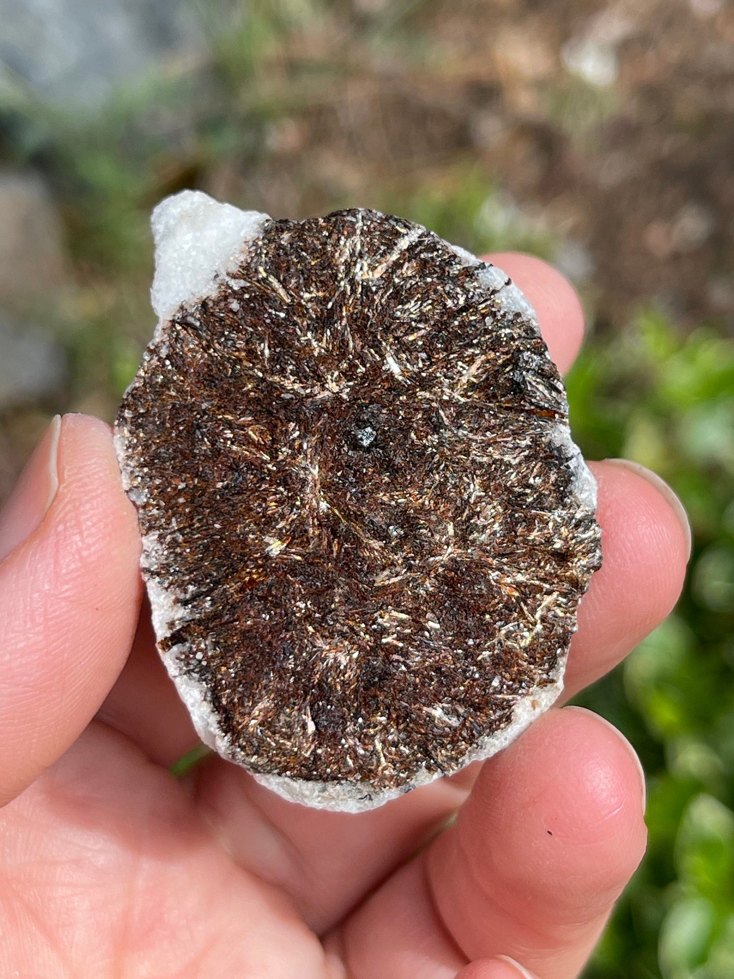 Astrophyllite Starburst, Shimmering Mineral