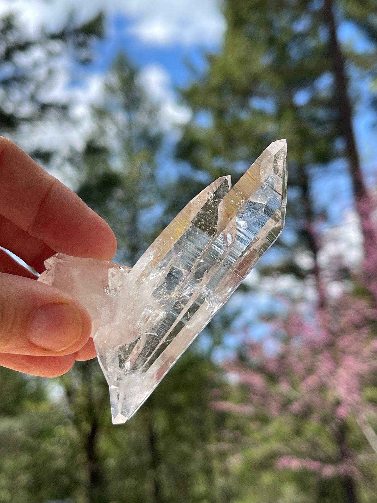 Twinning DT Prismatic Lemurian Quartz, Colombia, Empath Crystal Master Healer Tools, Healing, Divination, Metaphysical, Q8-0512