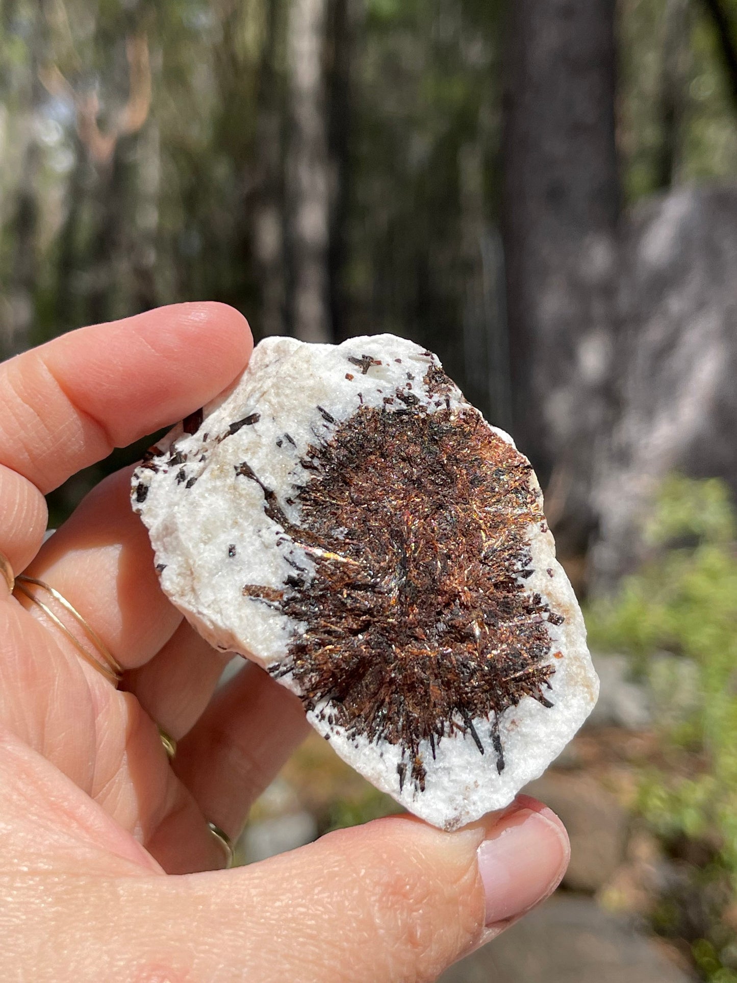 Astrophyllite Starburst, Shimmering Minerals