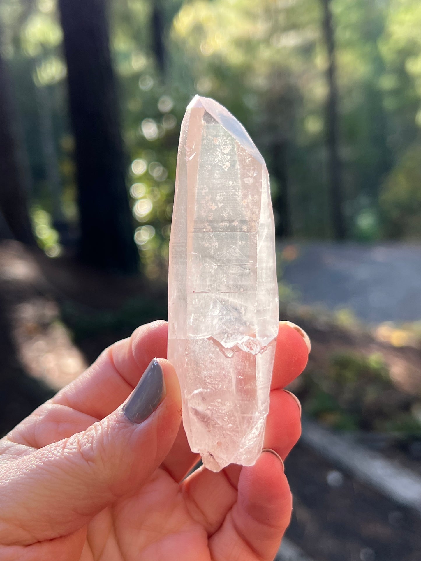 Clear Recordkeeper Lemurian Quartz