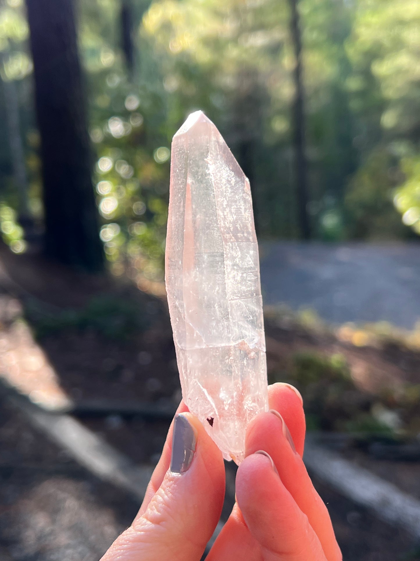 Clear Recordkeeper Lemurian Quartz