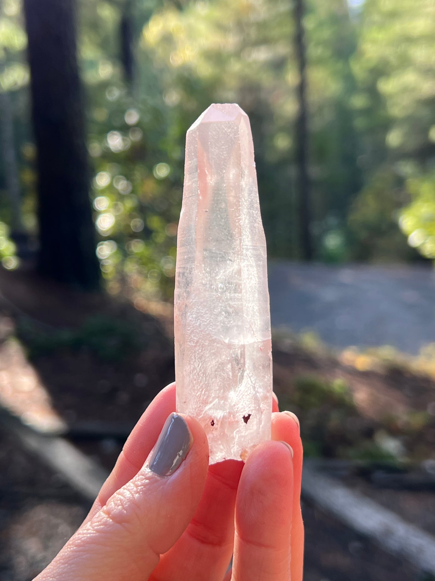 Clear Recordkeeper Lemurian Quartz