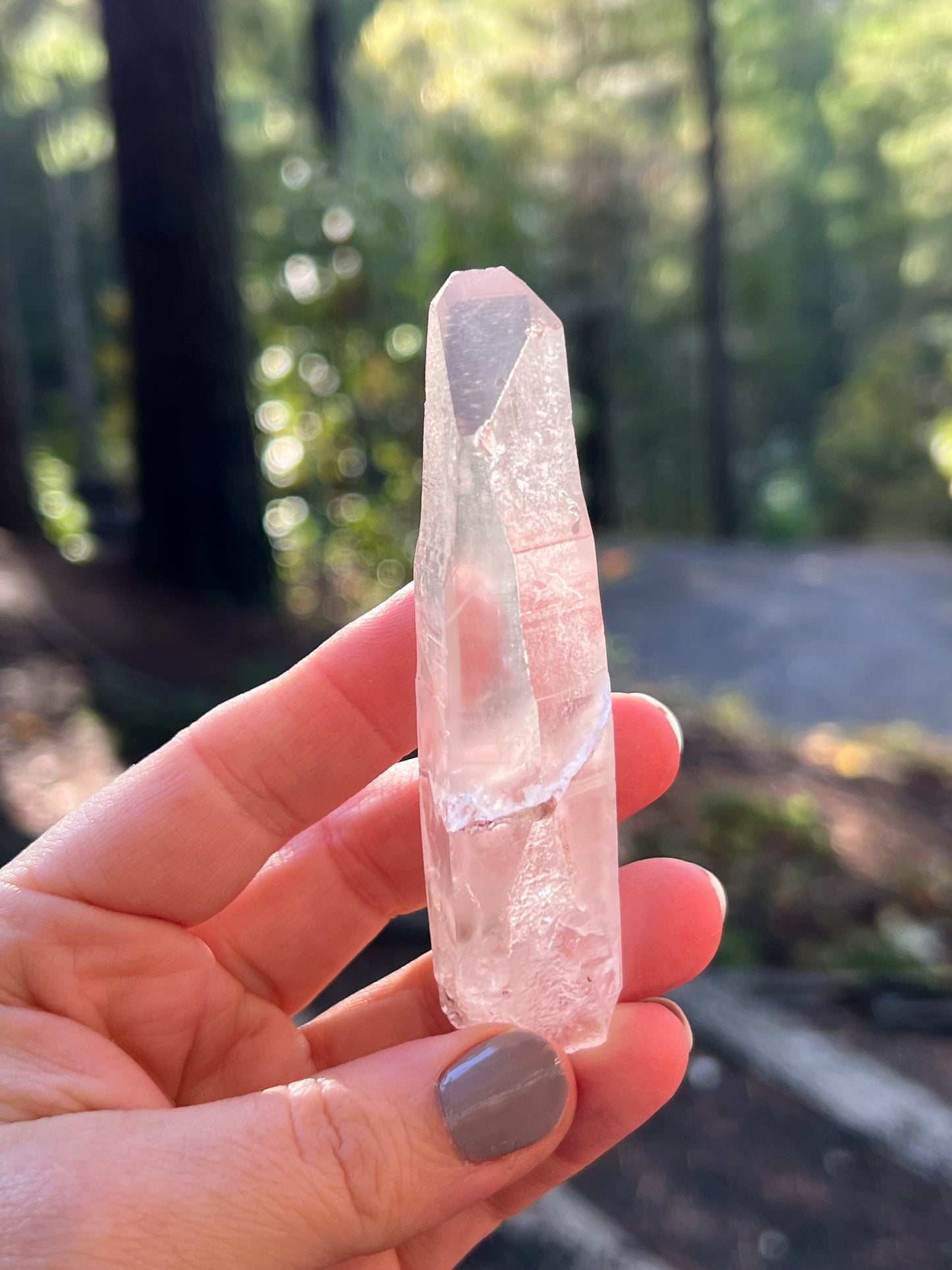 Clear Recordkeeper Lemurian Quartz