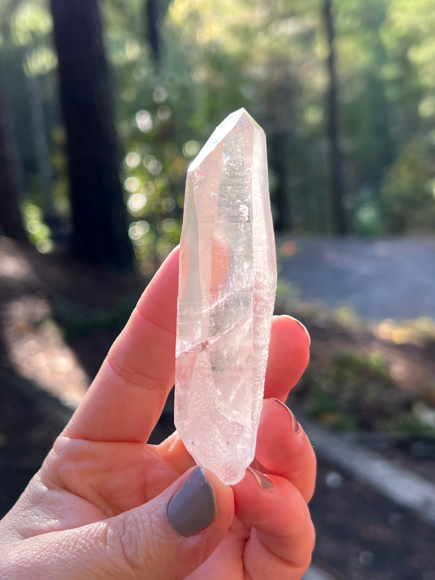 Clear Recordkeeper Lemurian Quartz