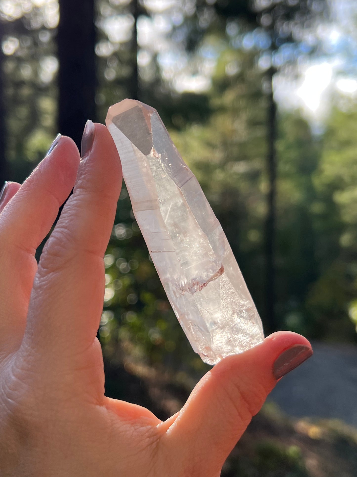 Clear Recordkeeper Lemurian Quartz