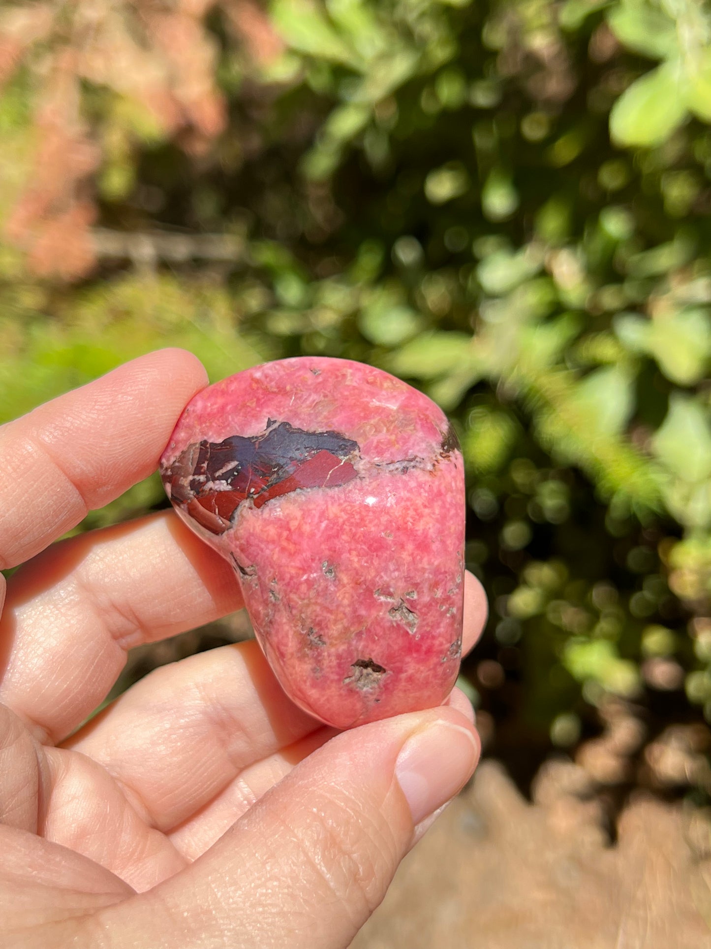 Bustamite Freeform, Wessels Mine, South Africa