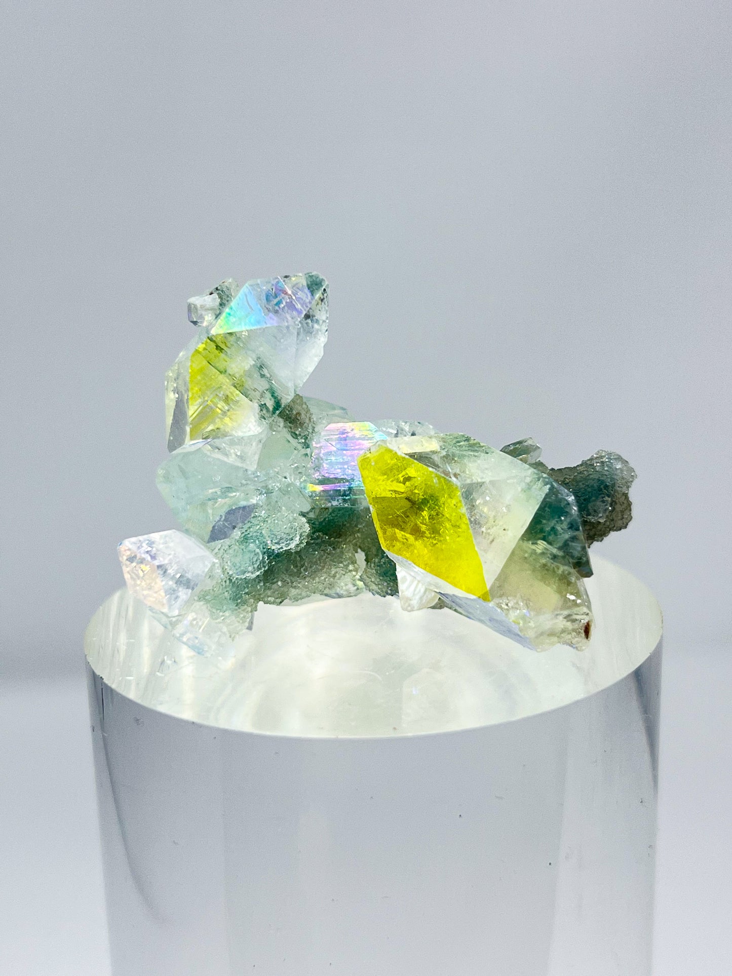 Angel Aura Apophyllite Stalactite