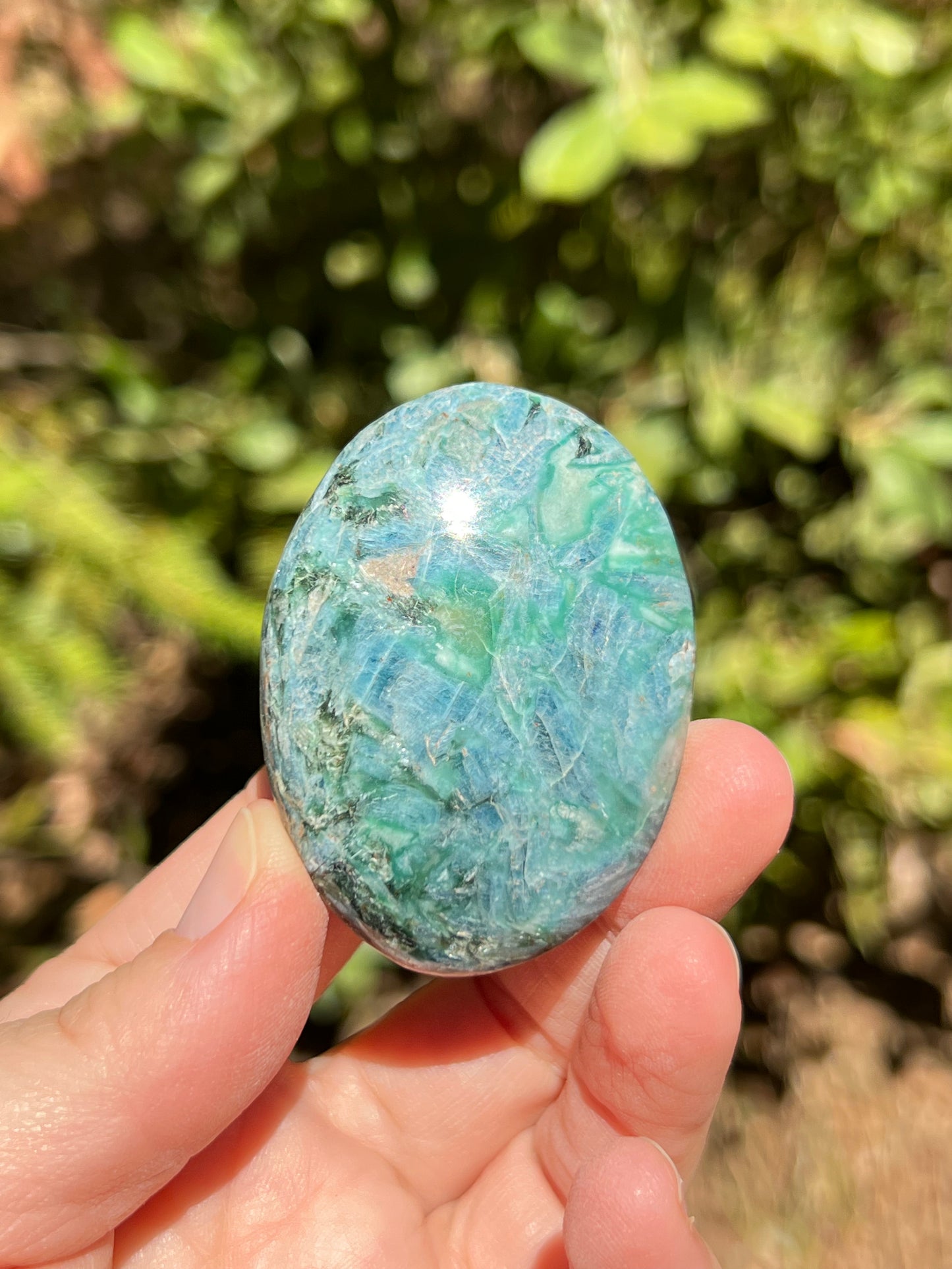 Apatite Palm Stone