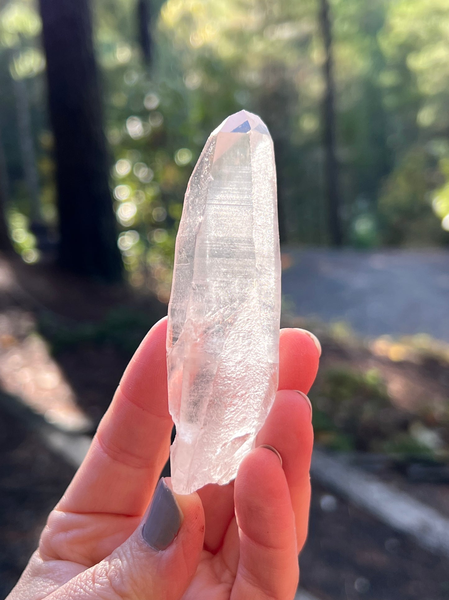 Clear Recordkeeper Lemurian Quartz