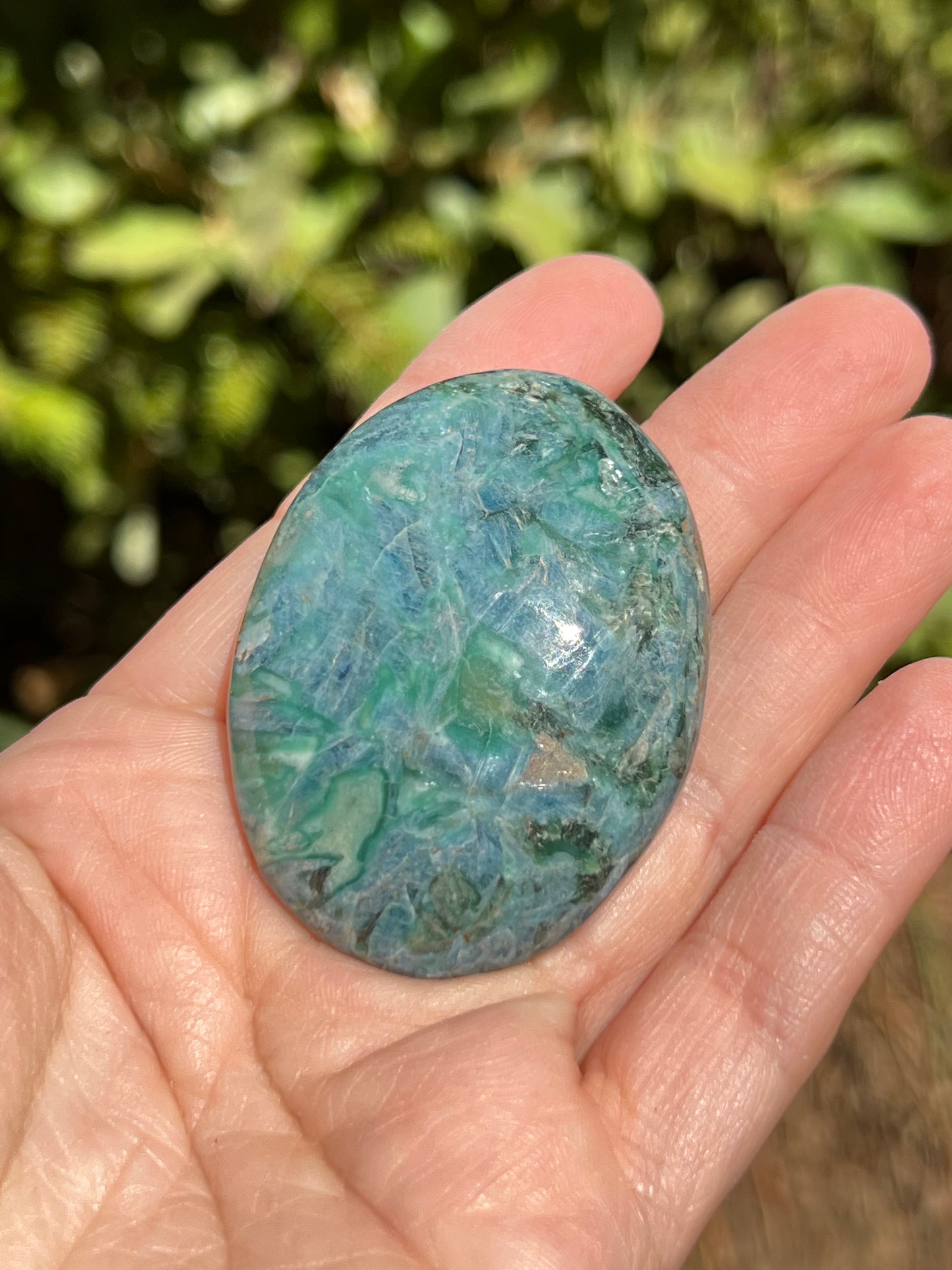 Apatite Palm Stone