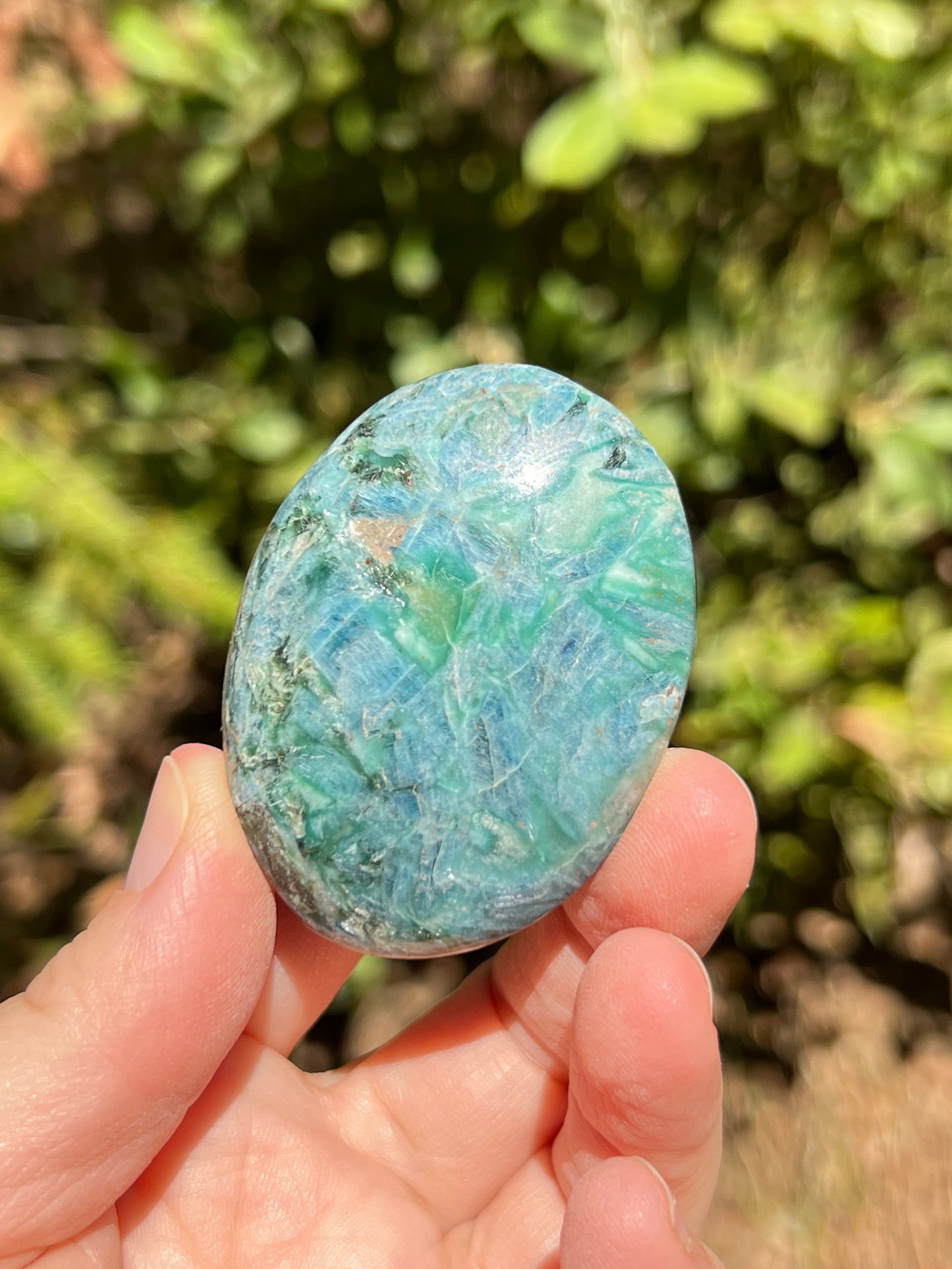 Apatite Palm Stone