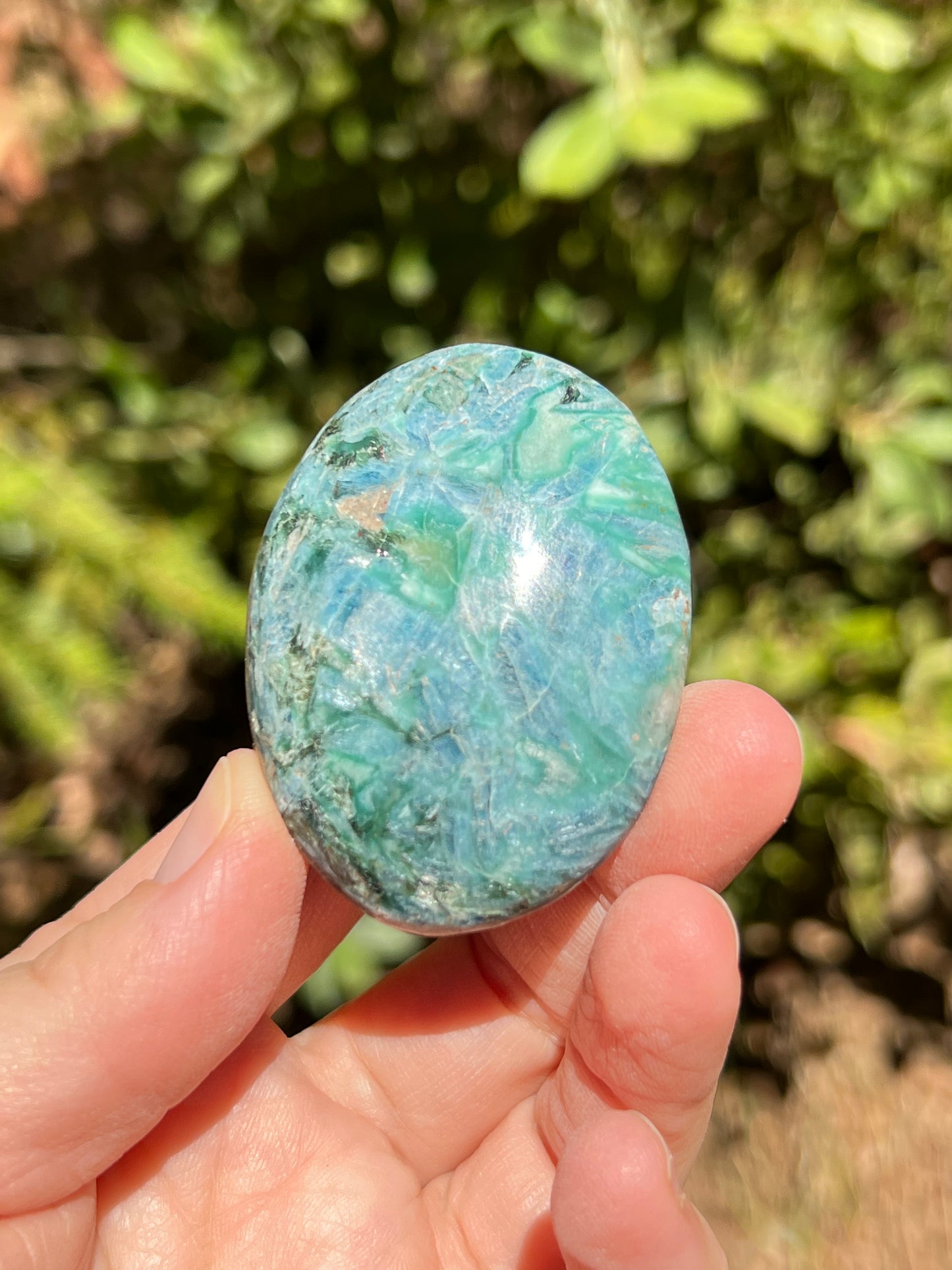 Apatite Palm Stone