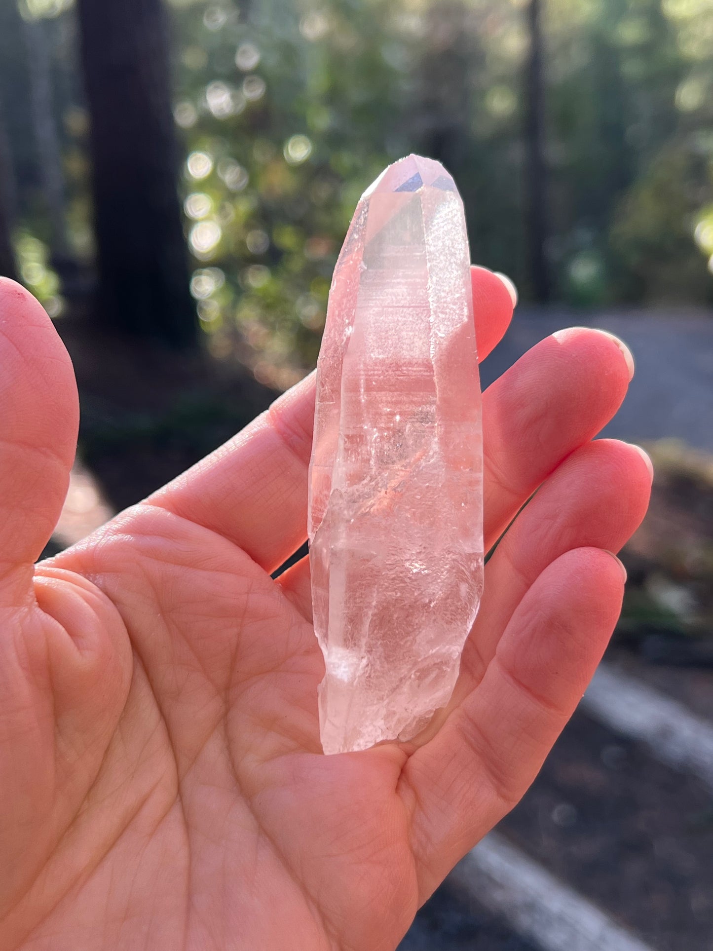 Clear Recordkeeper Lemurian Quartz