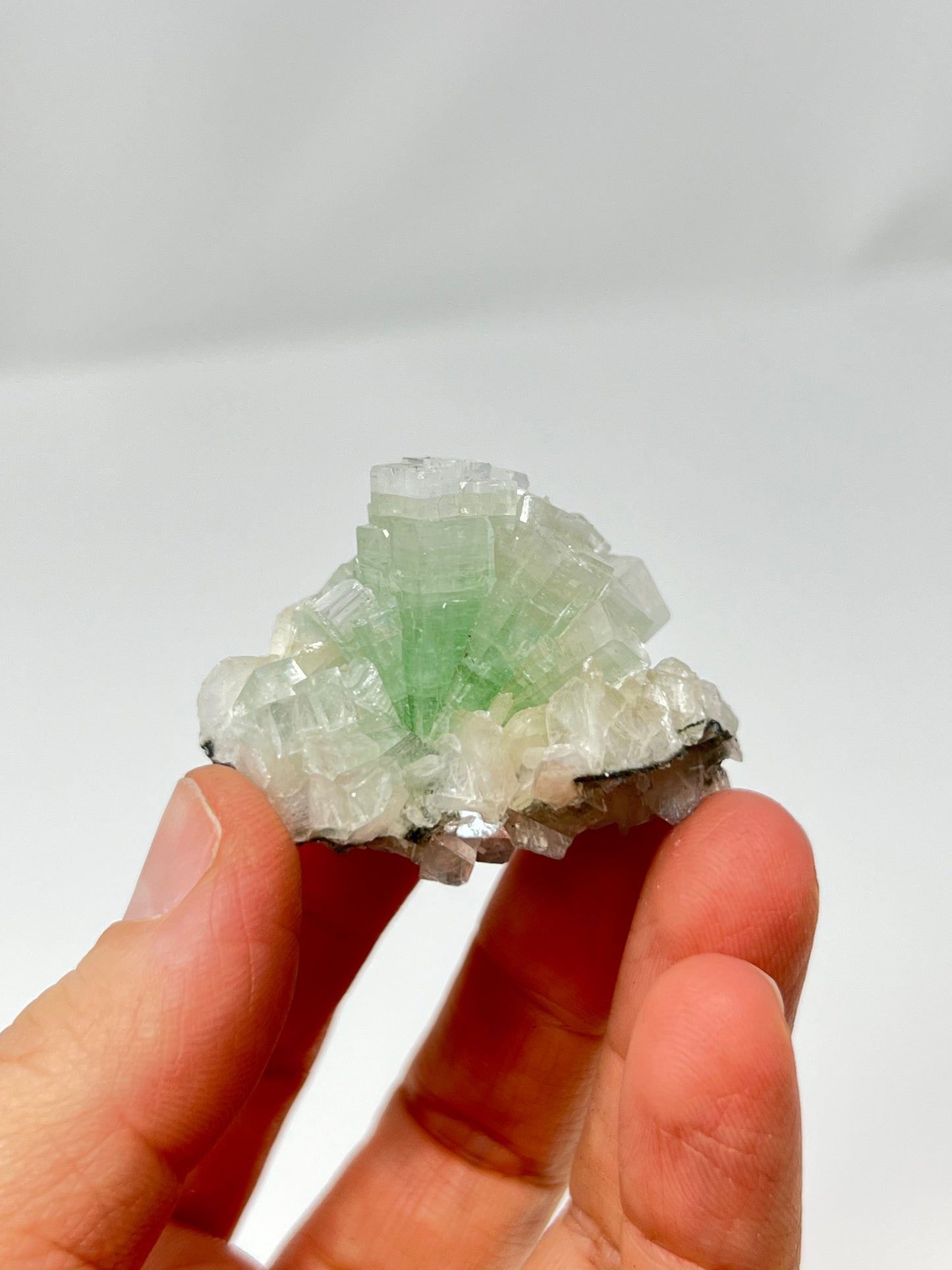 Green Apophyllite 'Disco Ball' Crystal, India