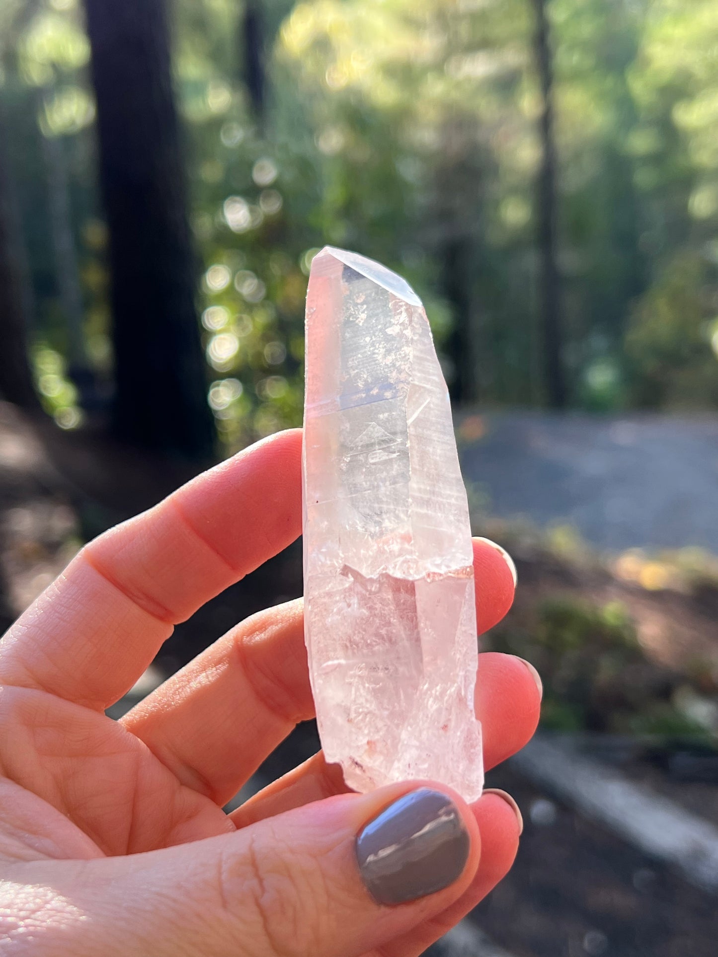 Clear Recordkeeper Lemurian Quartz